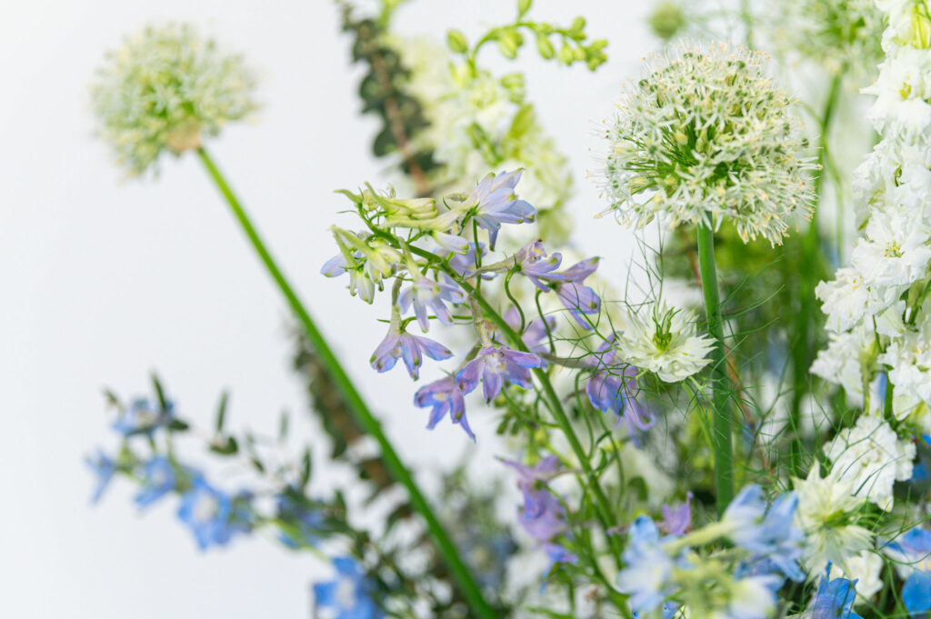 bloemen winkel