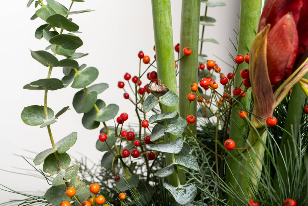 bloemen winkel